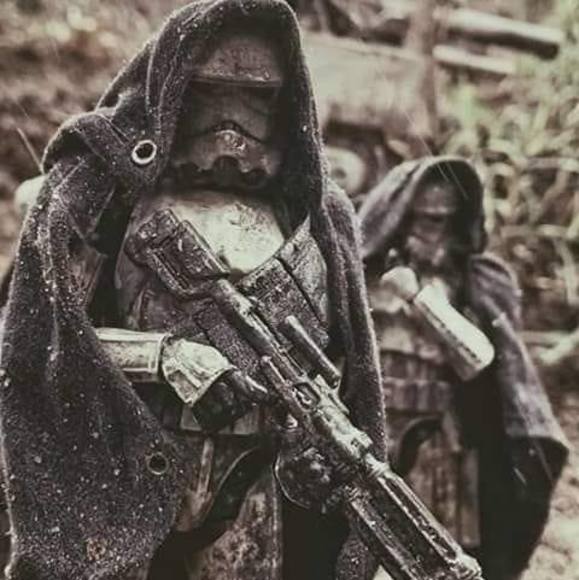 Meet your Posher, Ethan - Picture 1 of 1